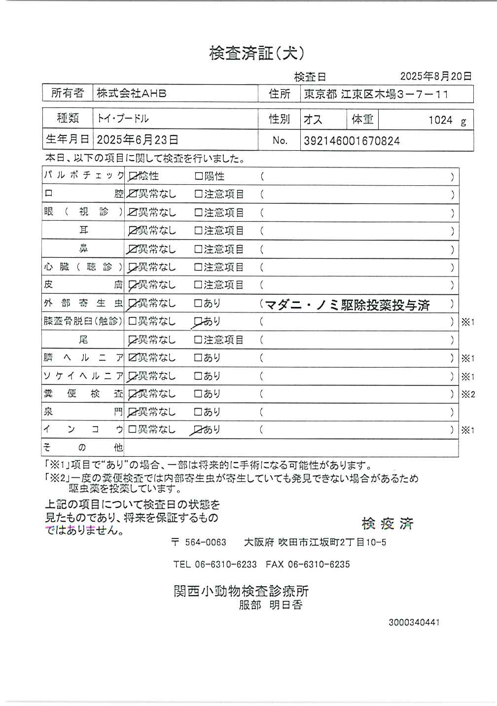 トイ・プードル