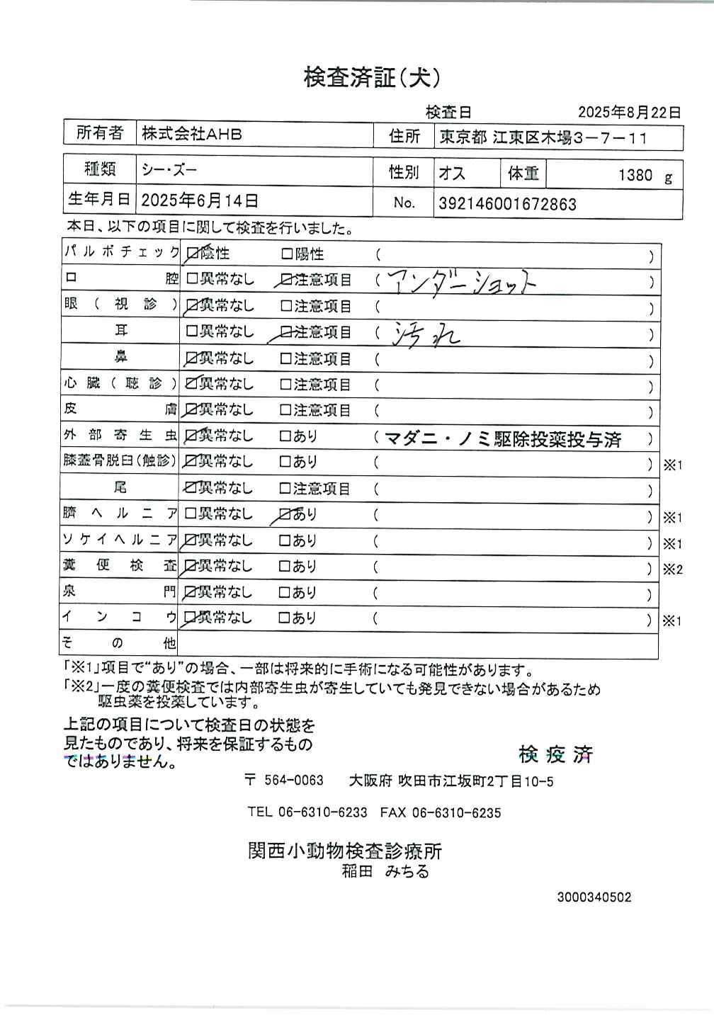 シー・ズー