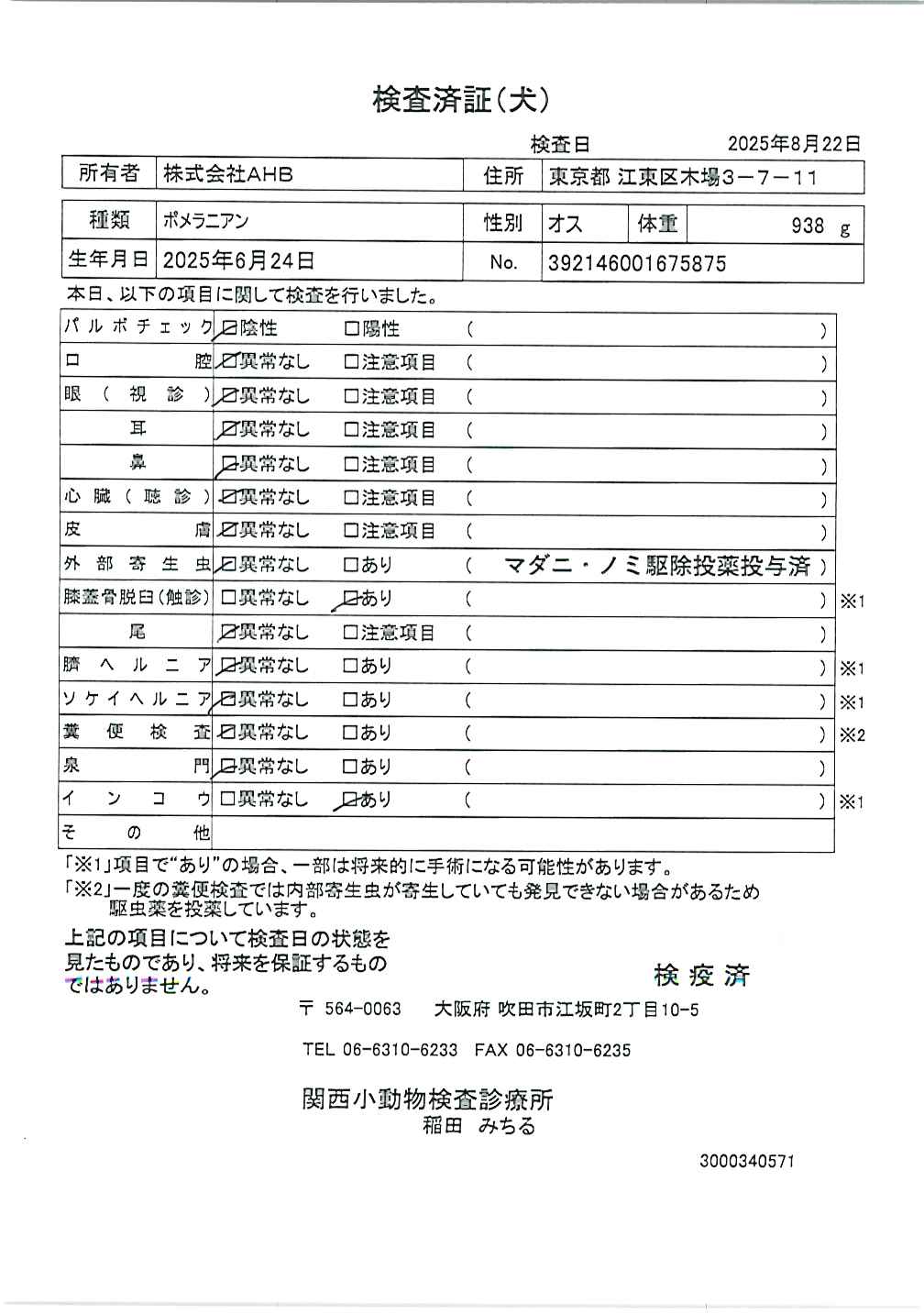 ポメラニアン