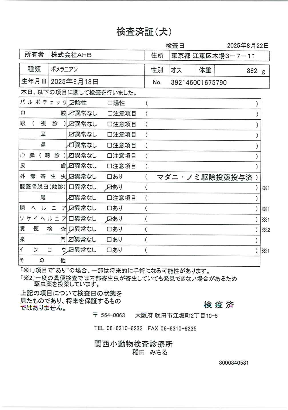 ポメラニアン