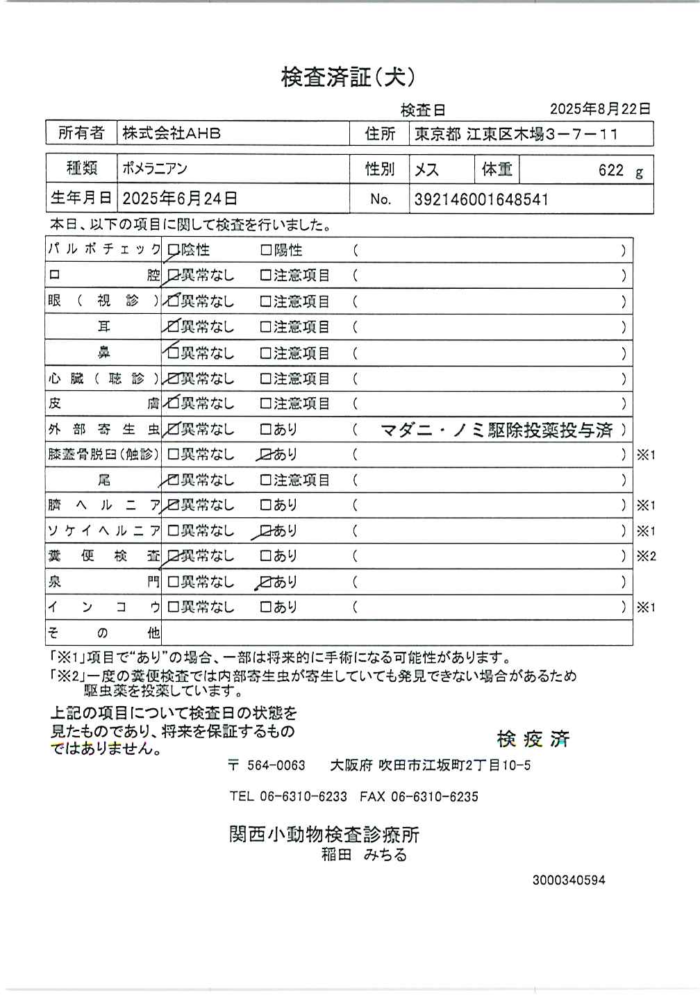 ポメラニアン