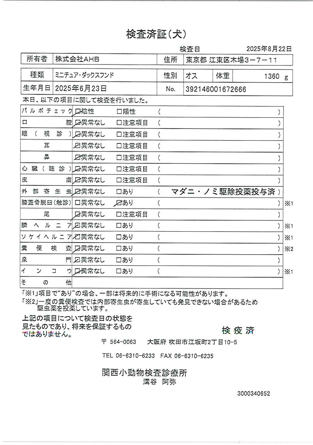 ミニチュア・ダックスフンド