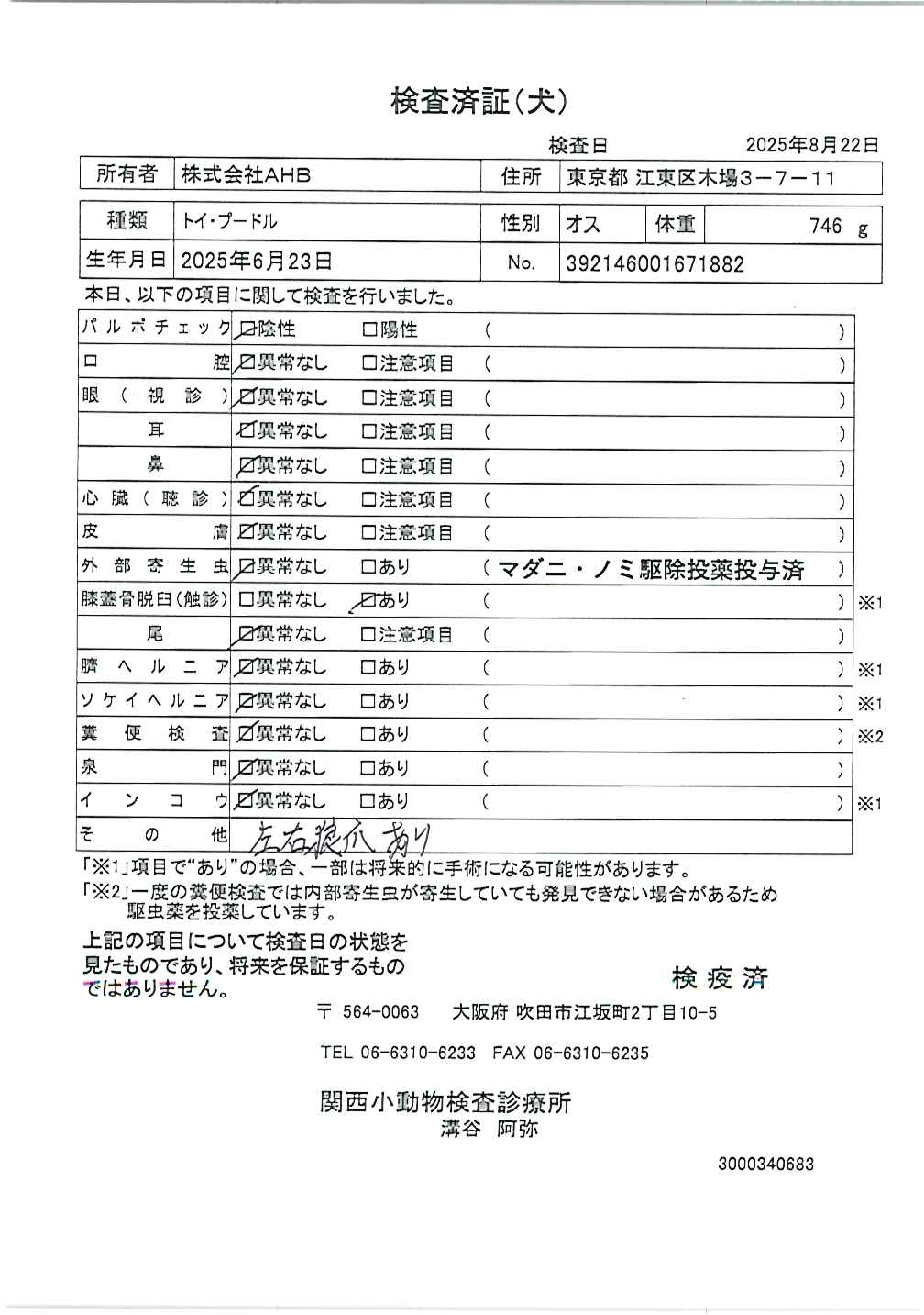 トイ・プードル