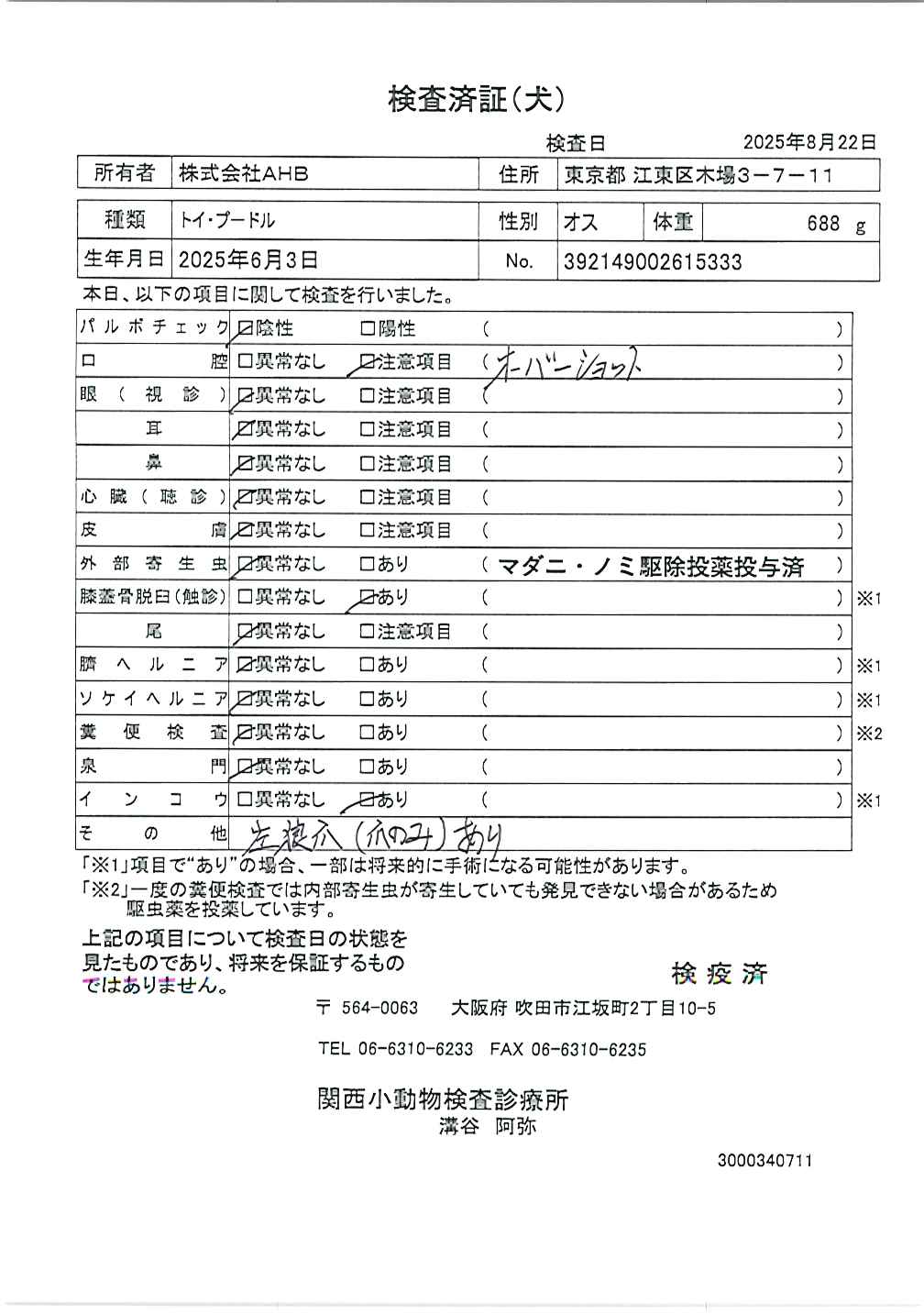 トイ・プードル