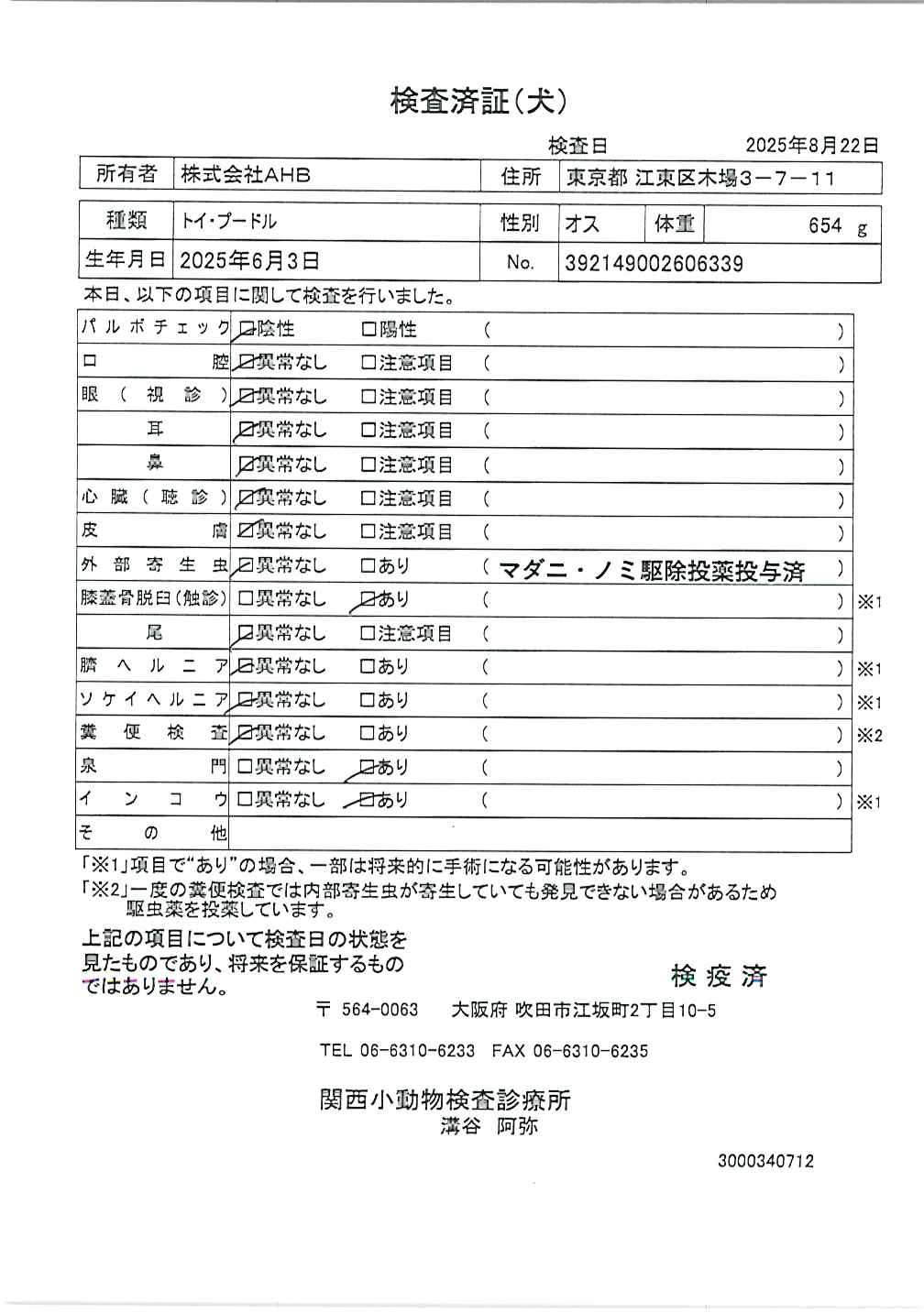 トイ・プードル