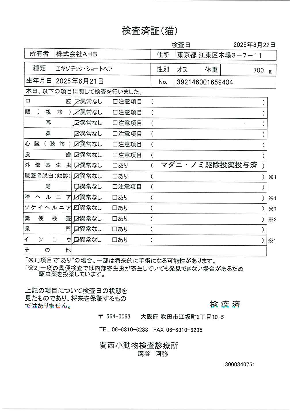 エキゾチック・ショートヘア
