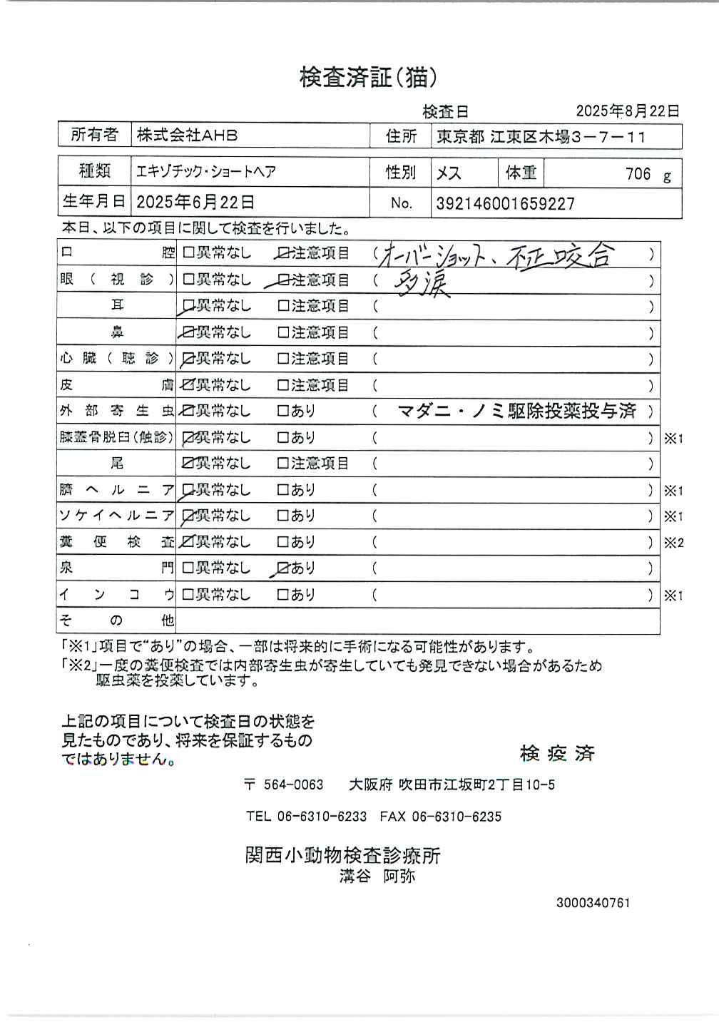 エキゾチック・ショートヘア