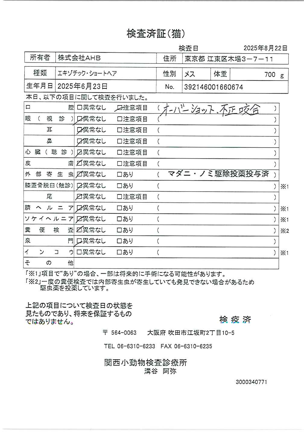エキゾチック・ショートヘア