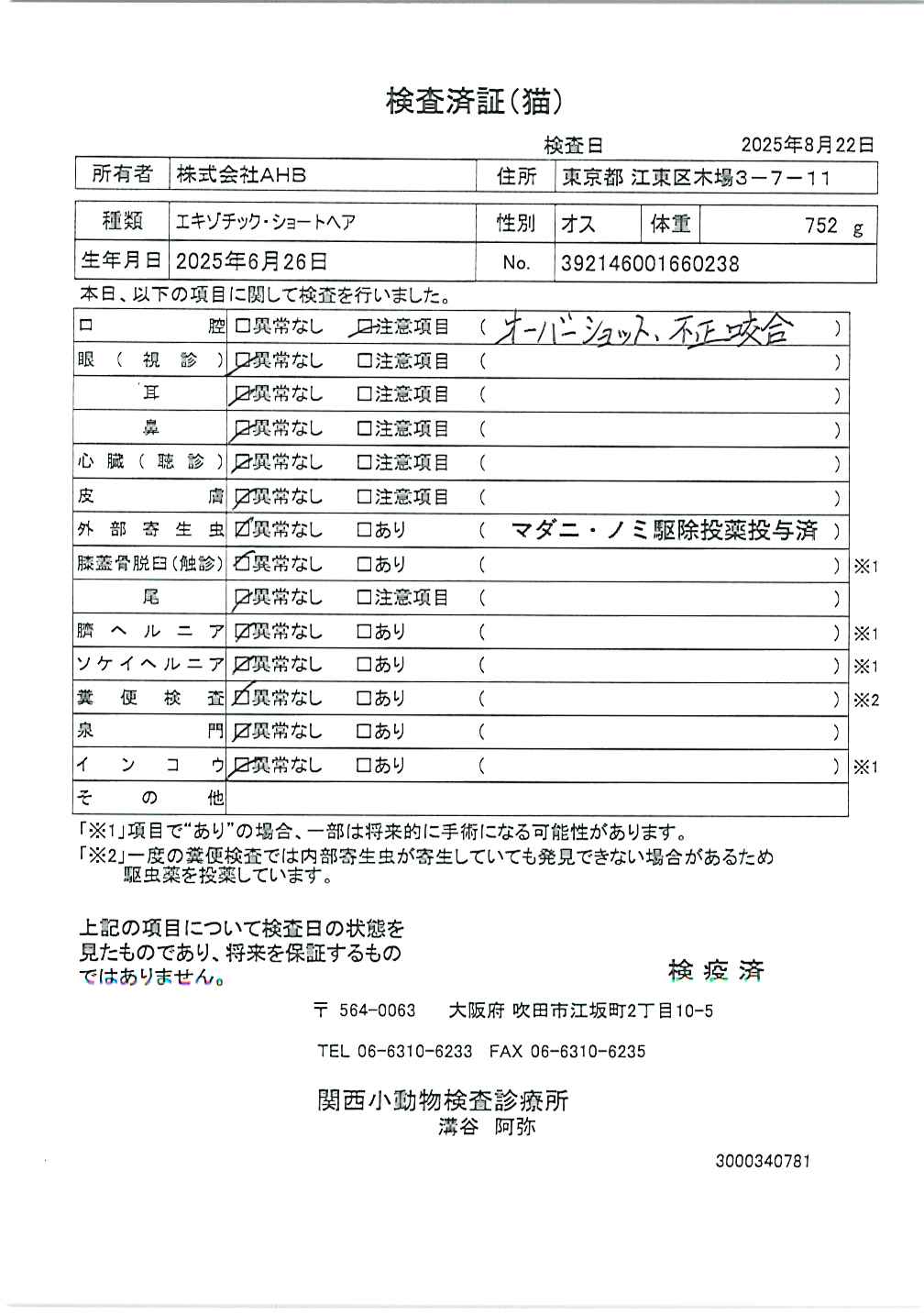 エキゾチック・ショートヘア