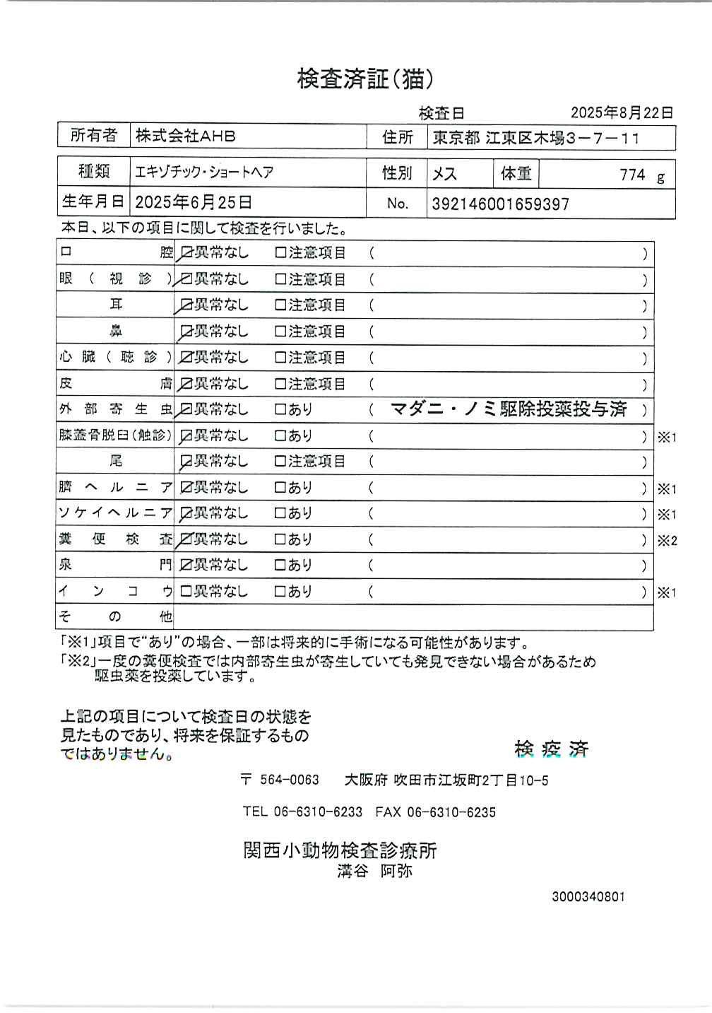 エキゾチック・ショートヘア