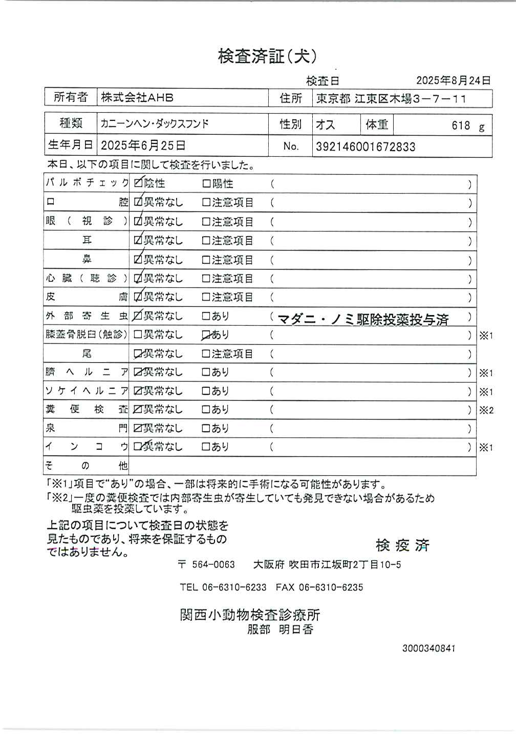 カニーンヘン・ダックスフンド