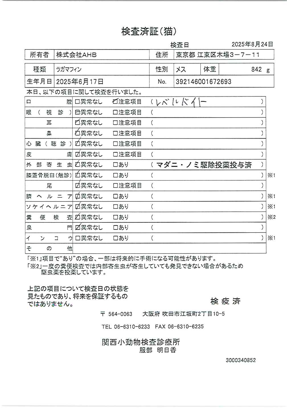 ラガマフィン