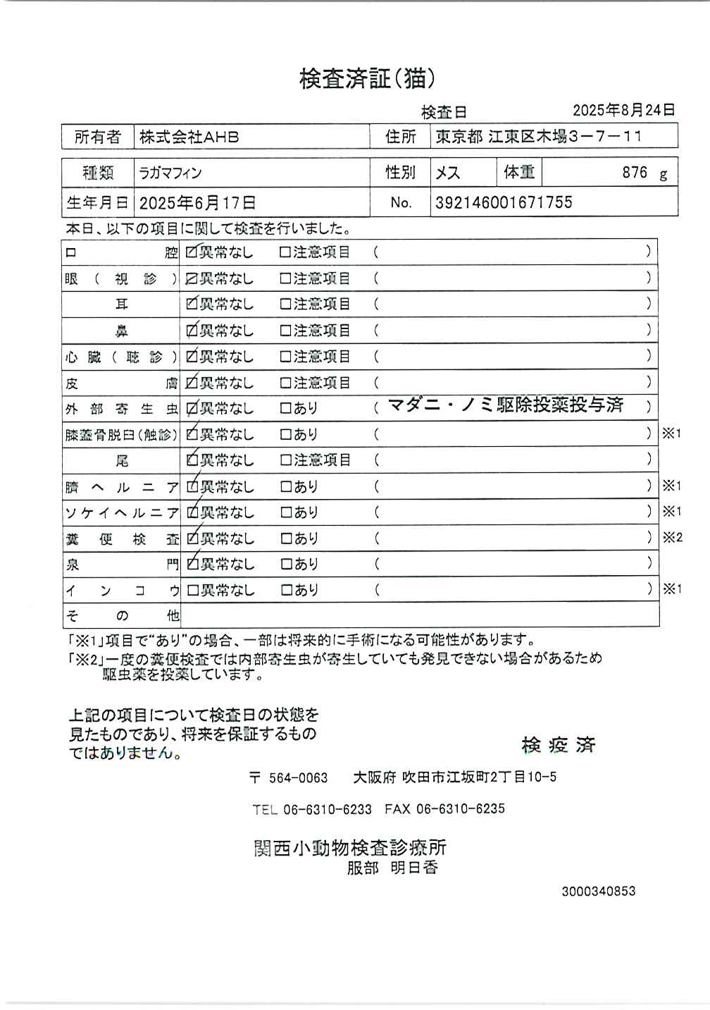 ラガマフィン