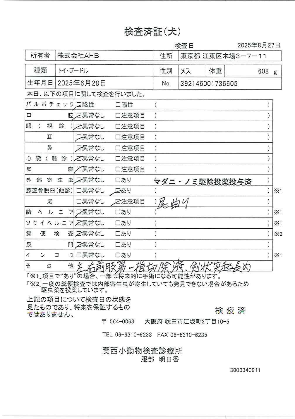 トイ・プードル