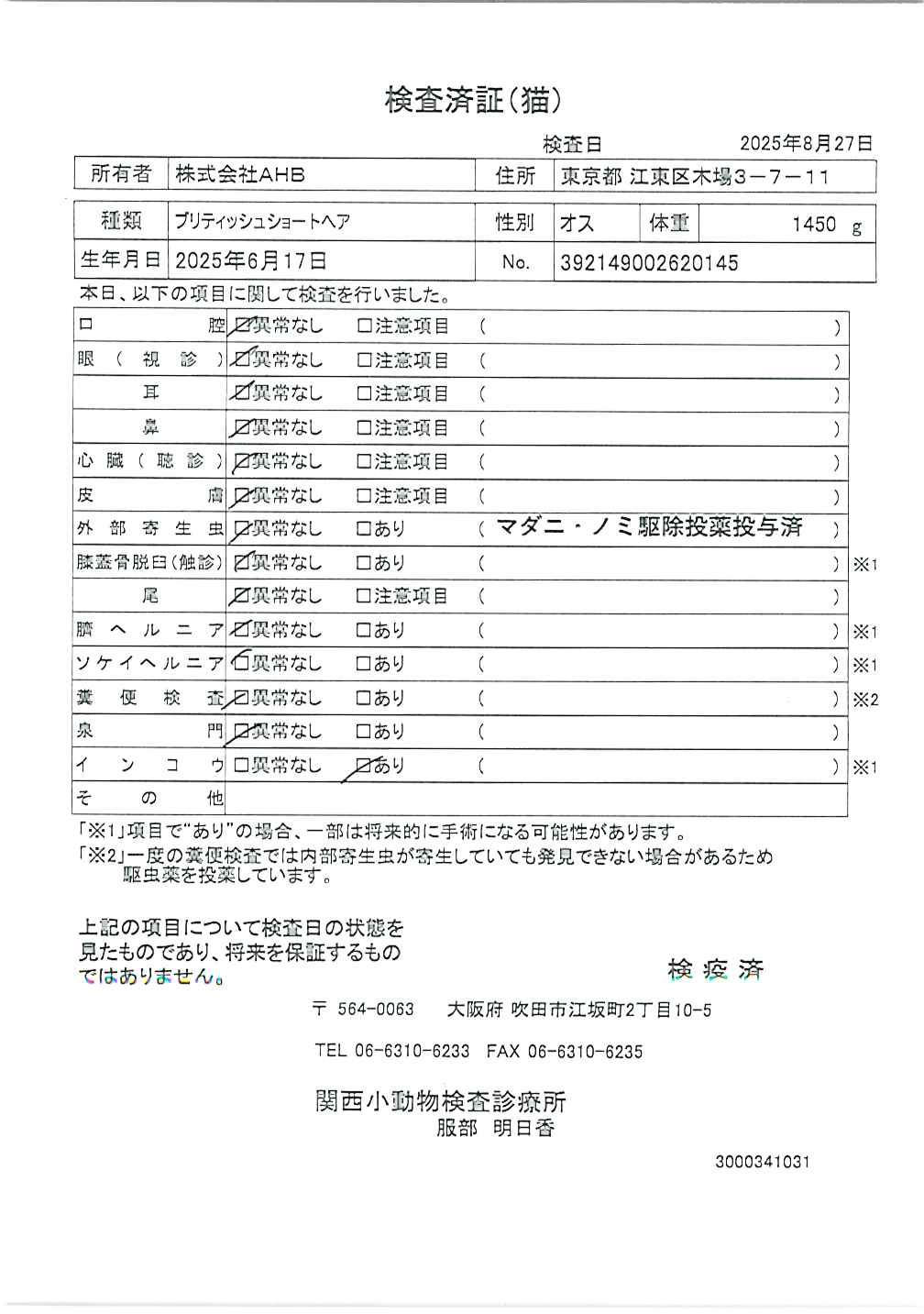 ブリティッシュショートヘア