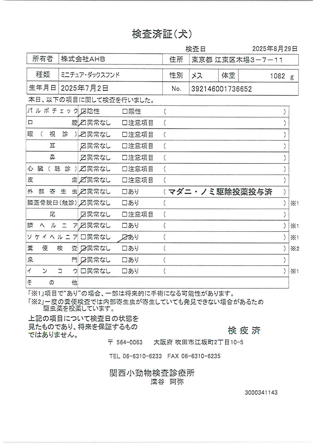 ミニチュア・ダックスフンド