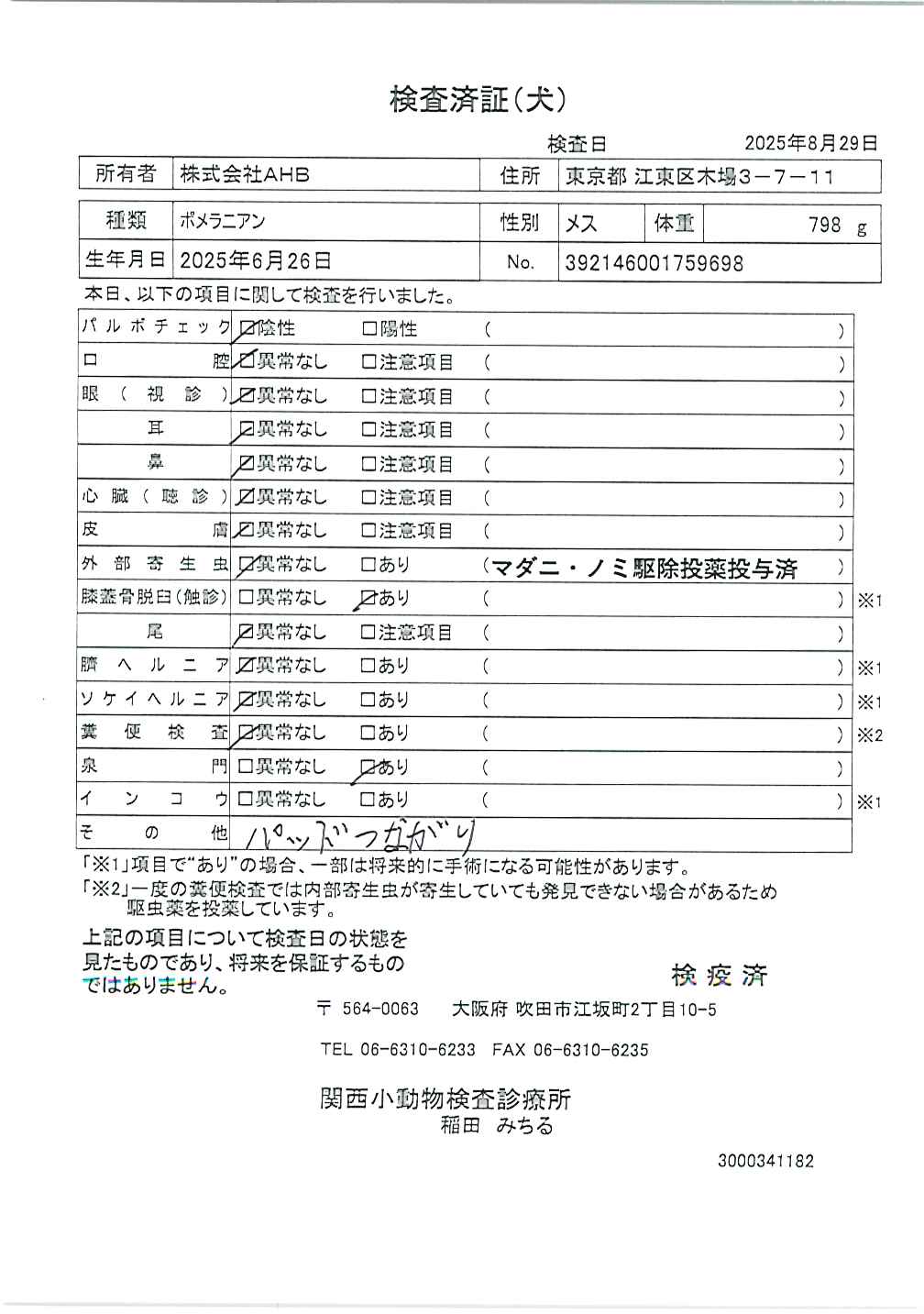 ポメラニアン