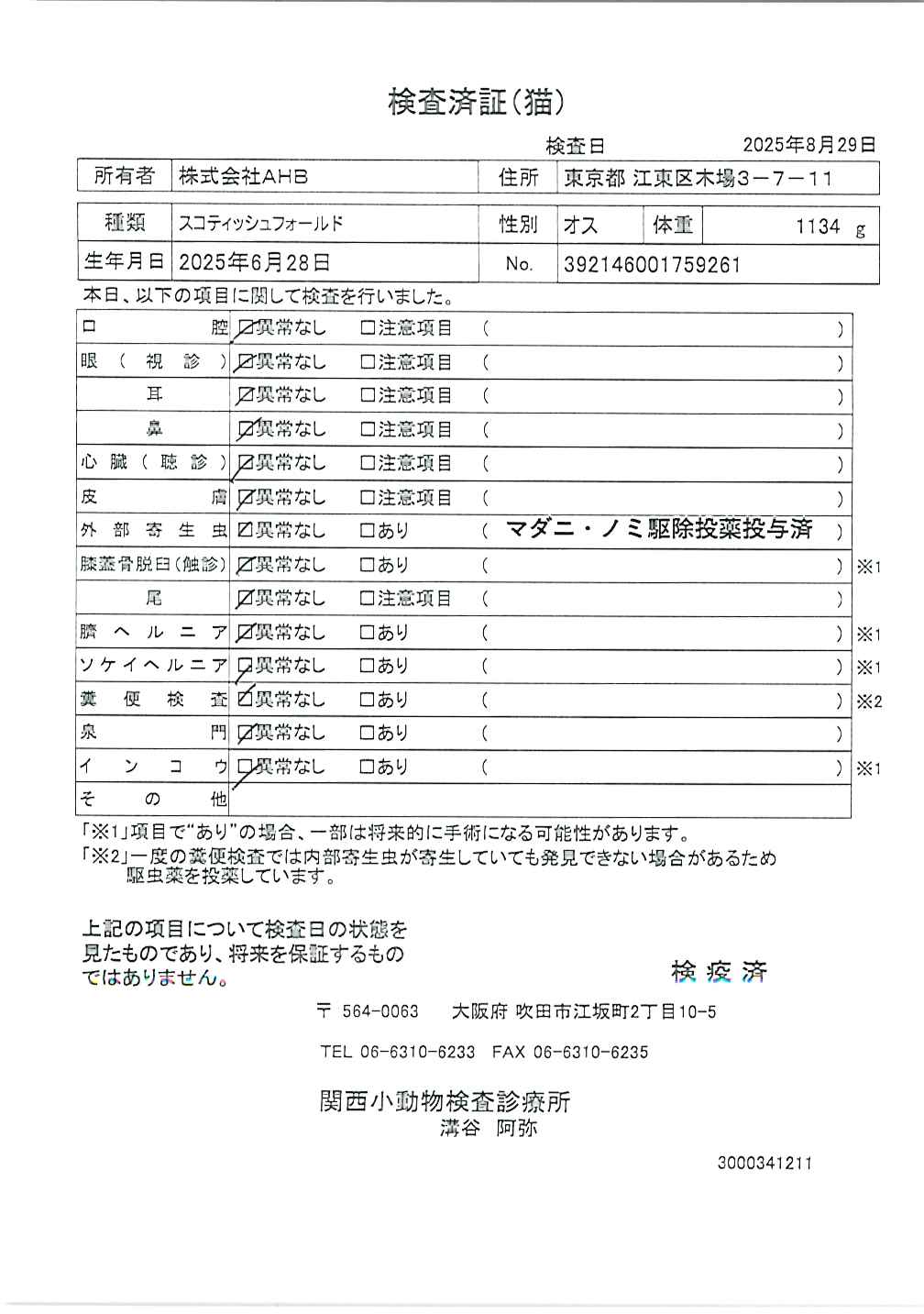 スコティッシュフォールド