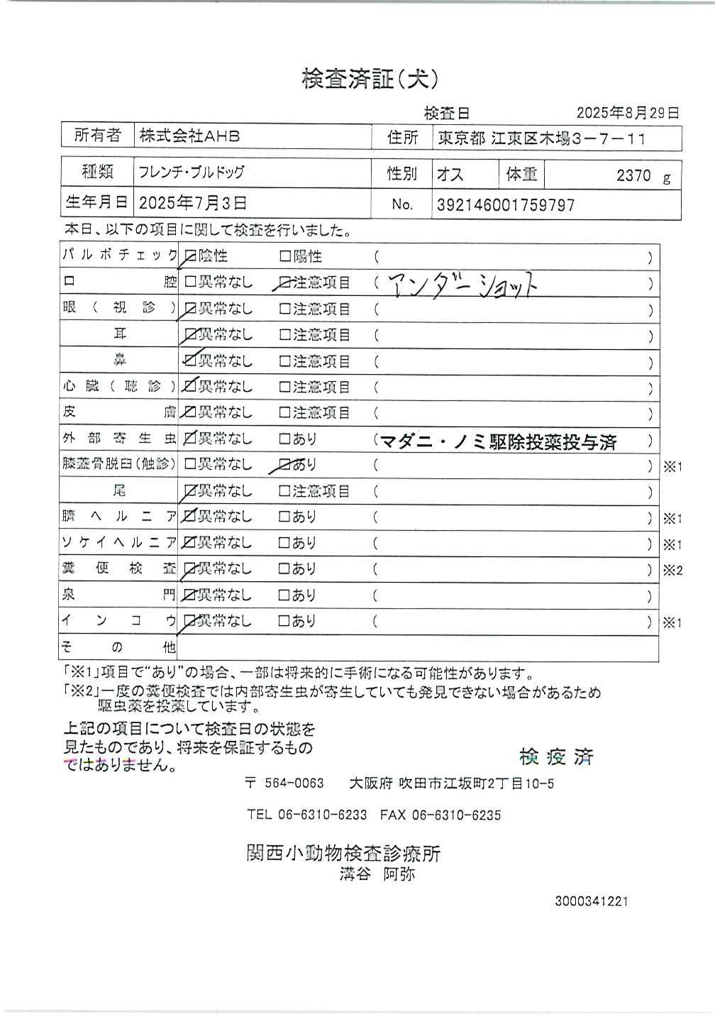 フレンチ・ブルドッグ