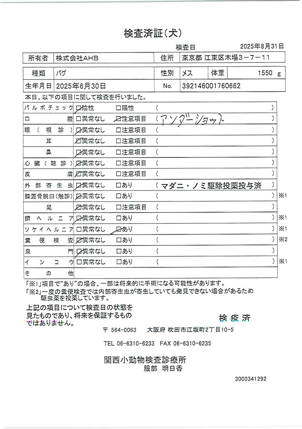 パグ