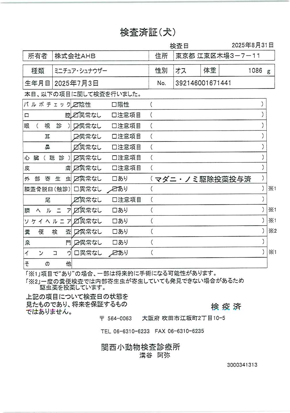 ミニチュア・シュナウザー