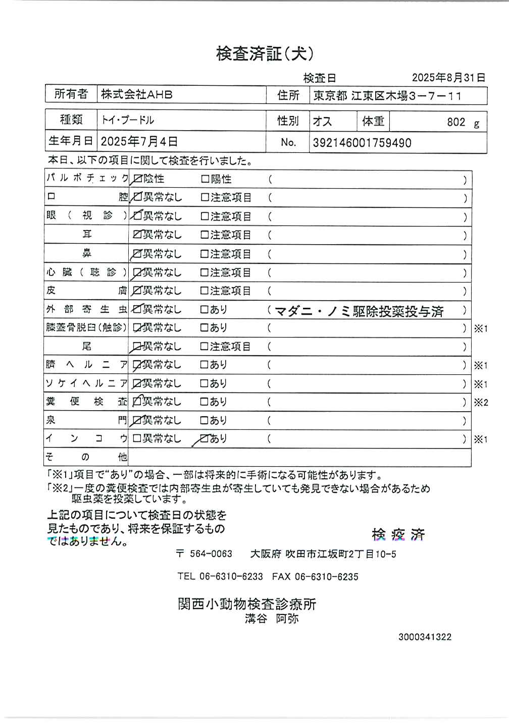 トイ・プードル
