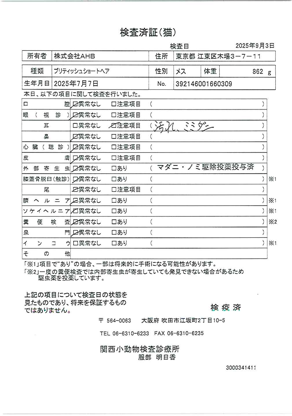 ブリティッシュショートヘア
