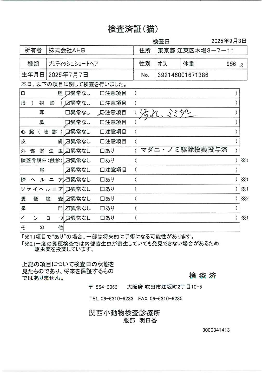 ブリティッシュショートヘア