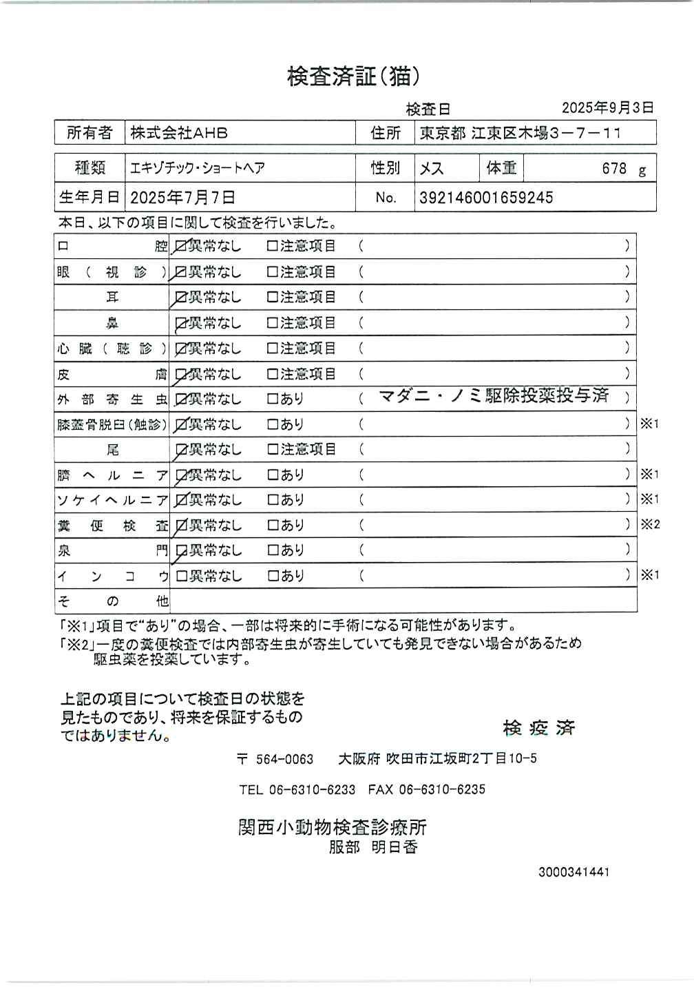 エキゾチック・ショートヘア