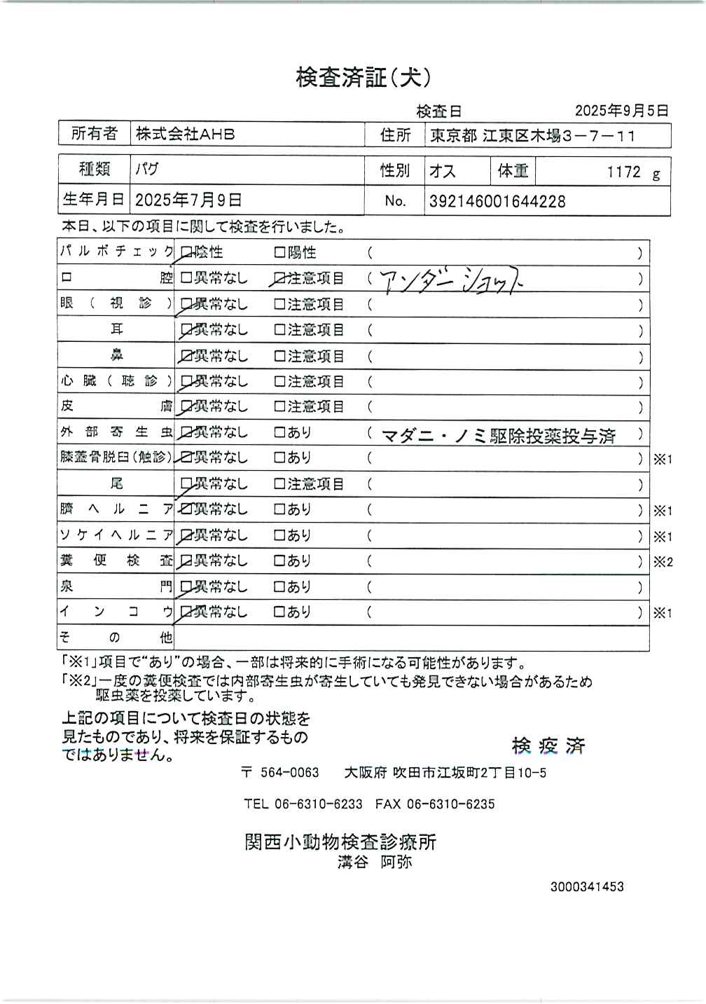 パグ