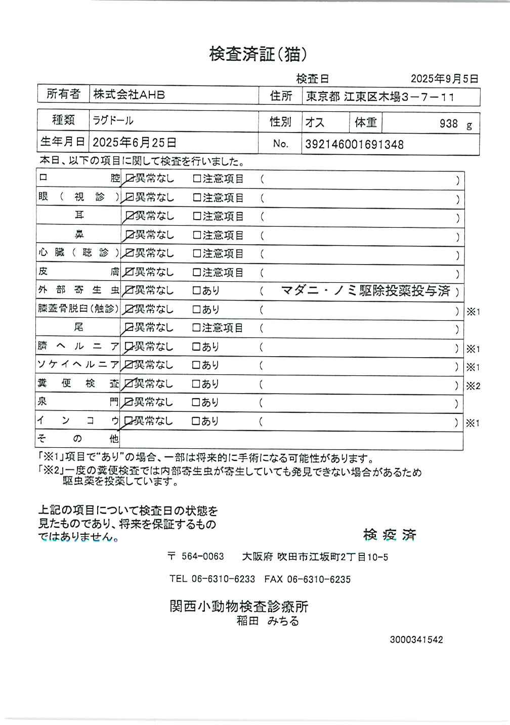 ラグドール