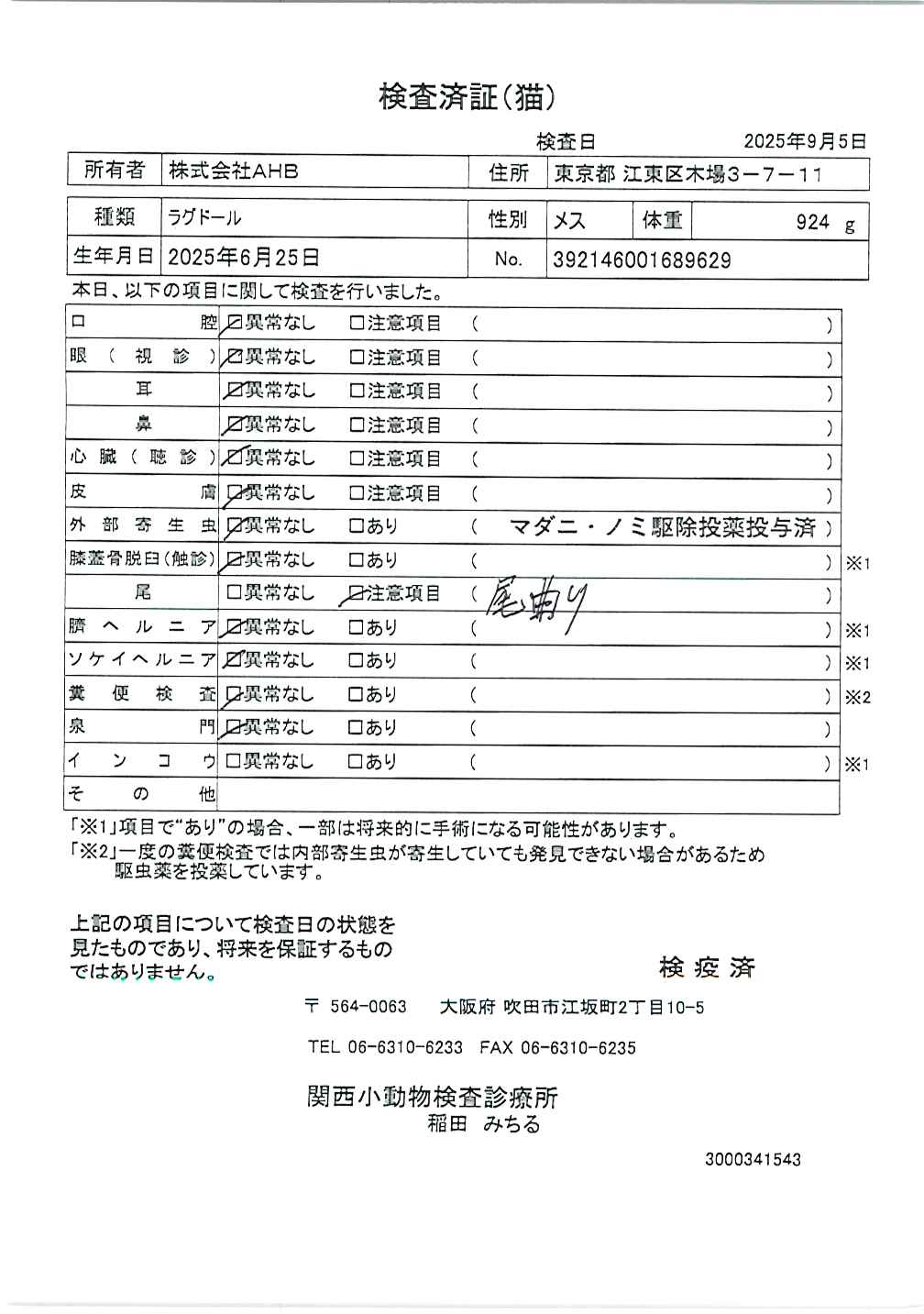 ラグドール