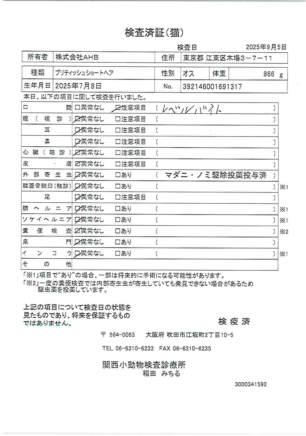 ブリティッシュショートヘア