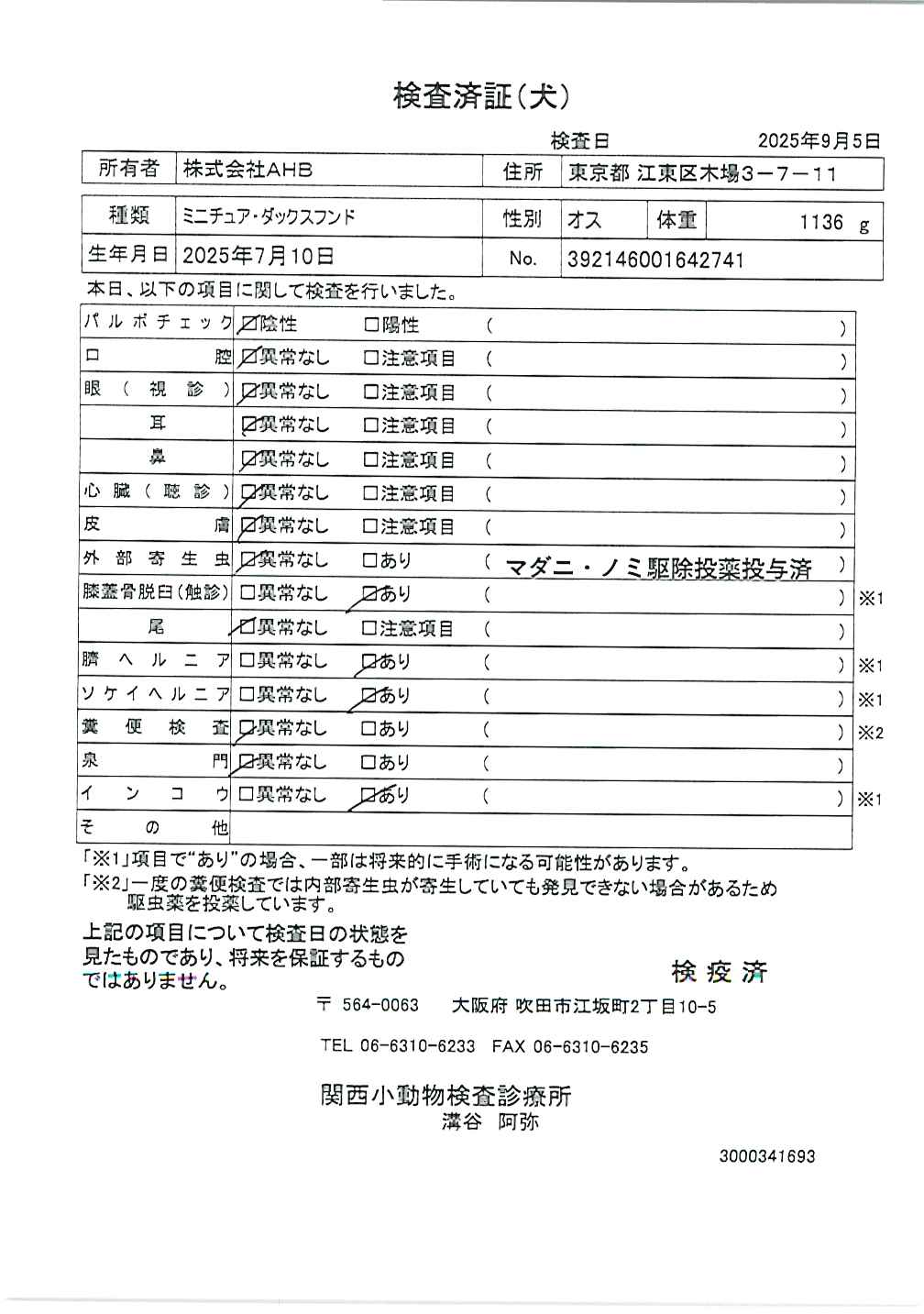 ミニチュア・ダックスフンド
