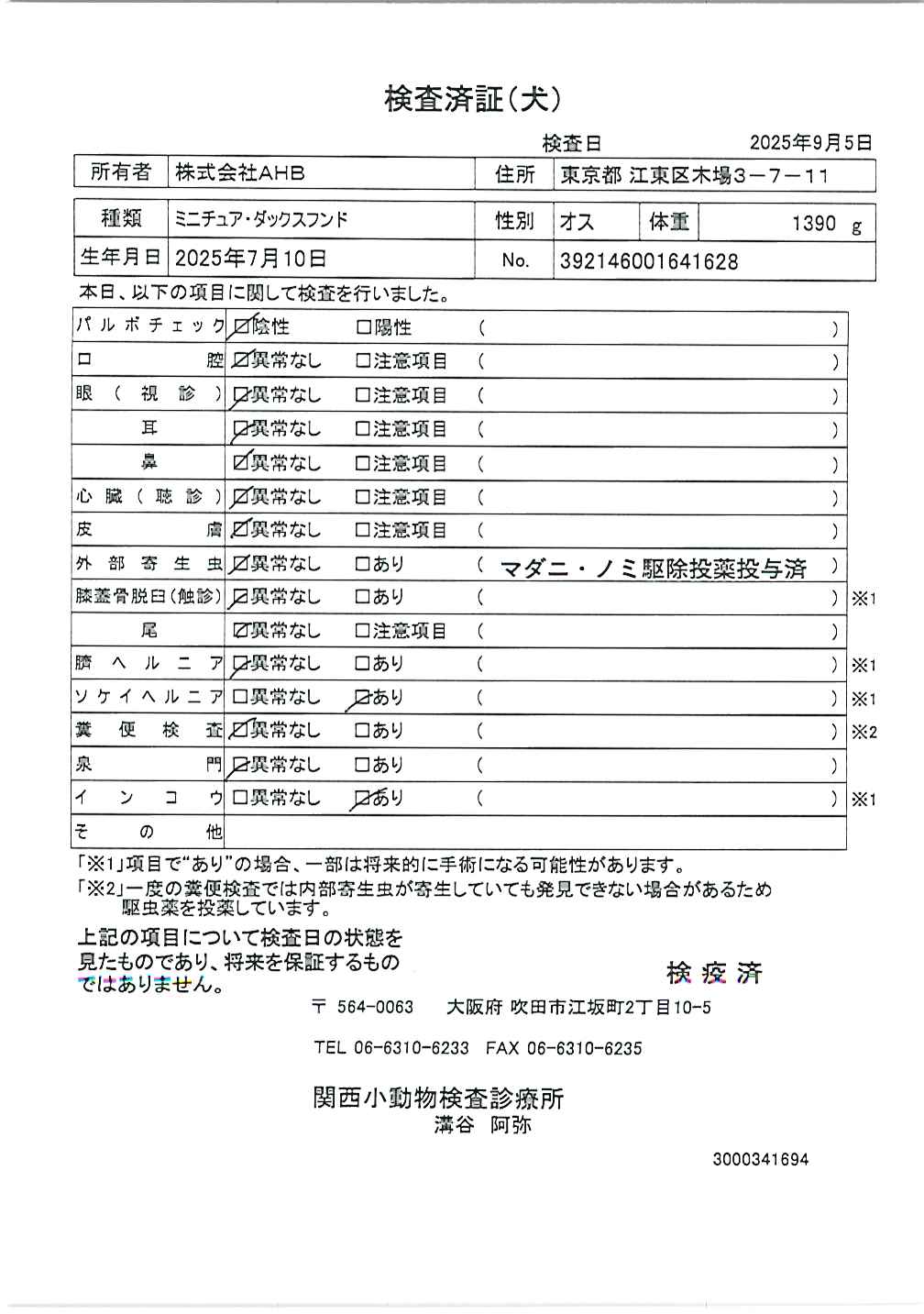 ミニチュア・ダックスフンド