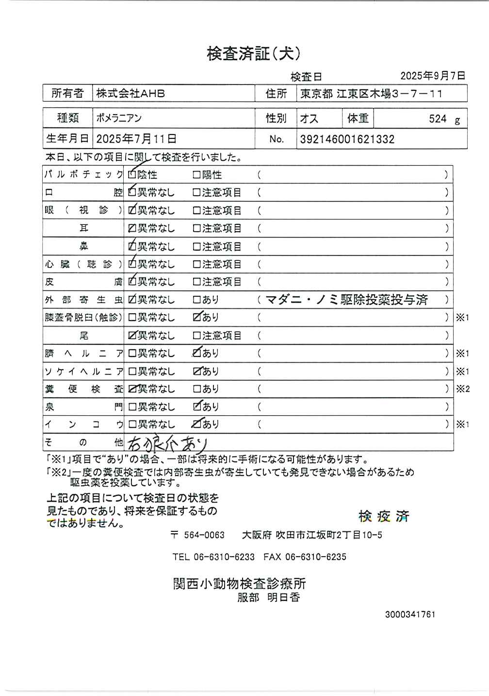 ポメラニアン