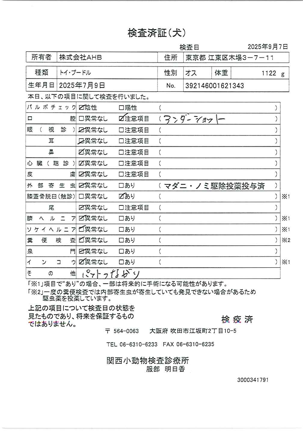 トイ・プードル