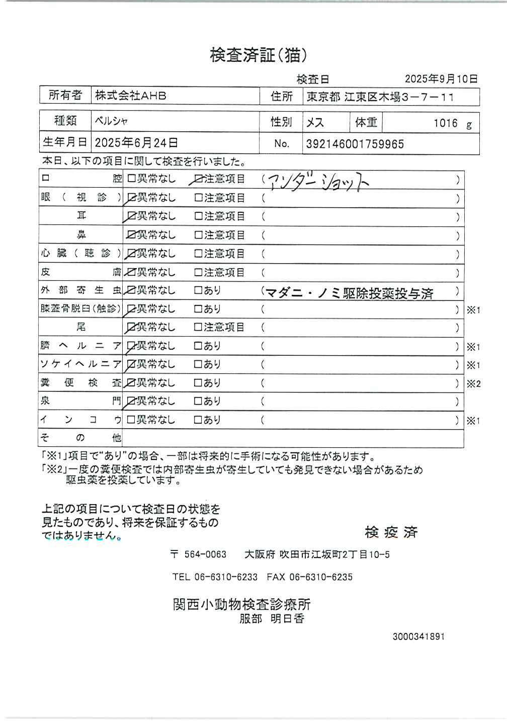 ペルシャ