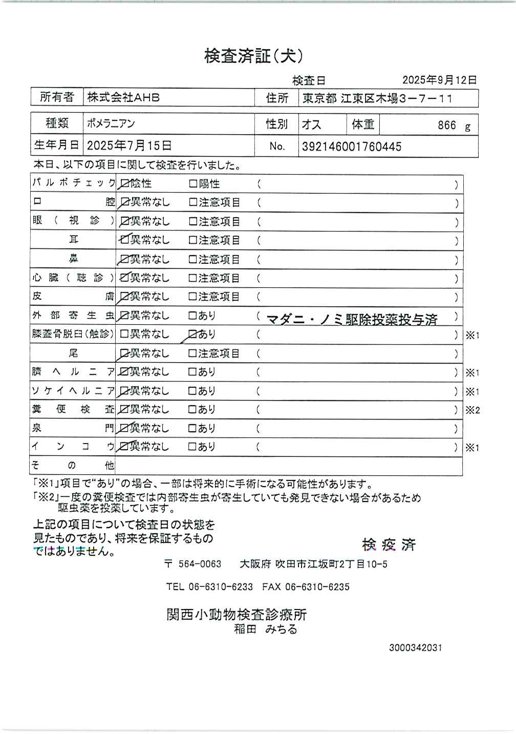 ポメラニアン