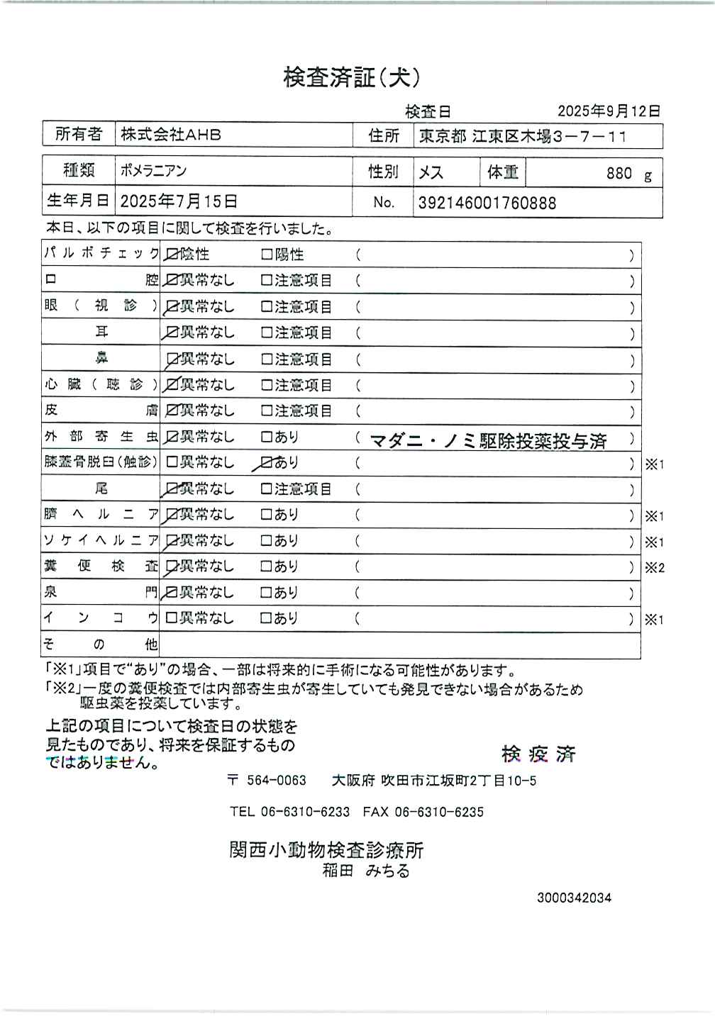 ポメラニアン