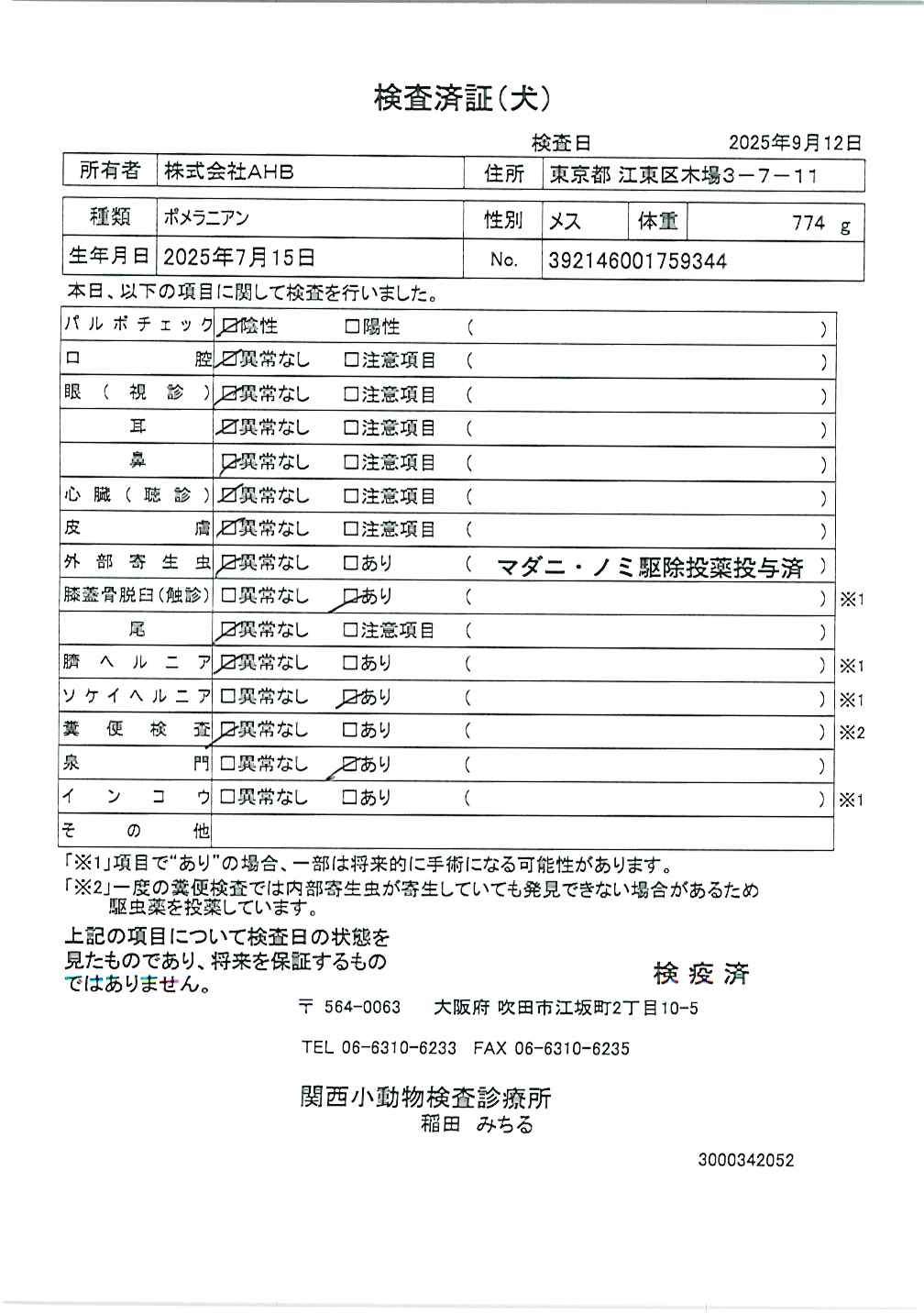 ポメラニアン