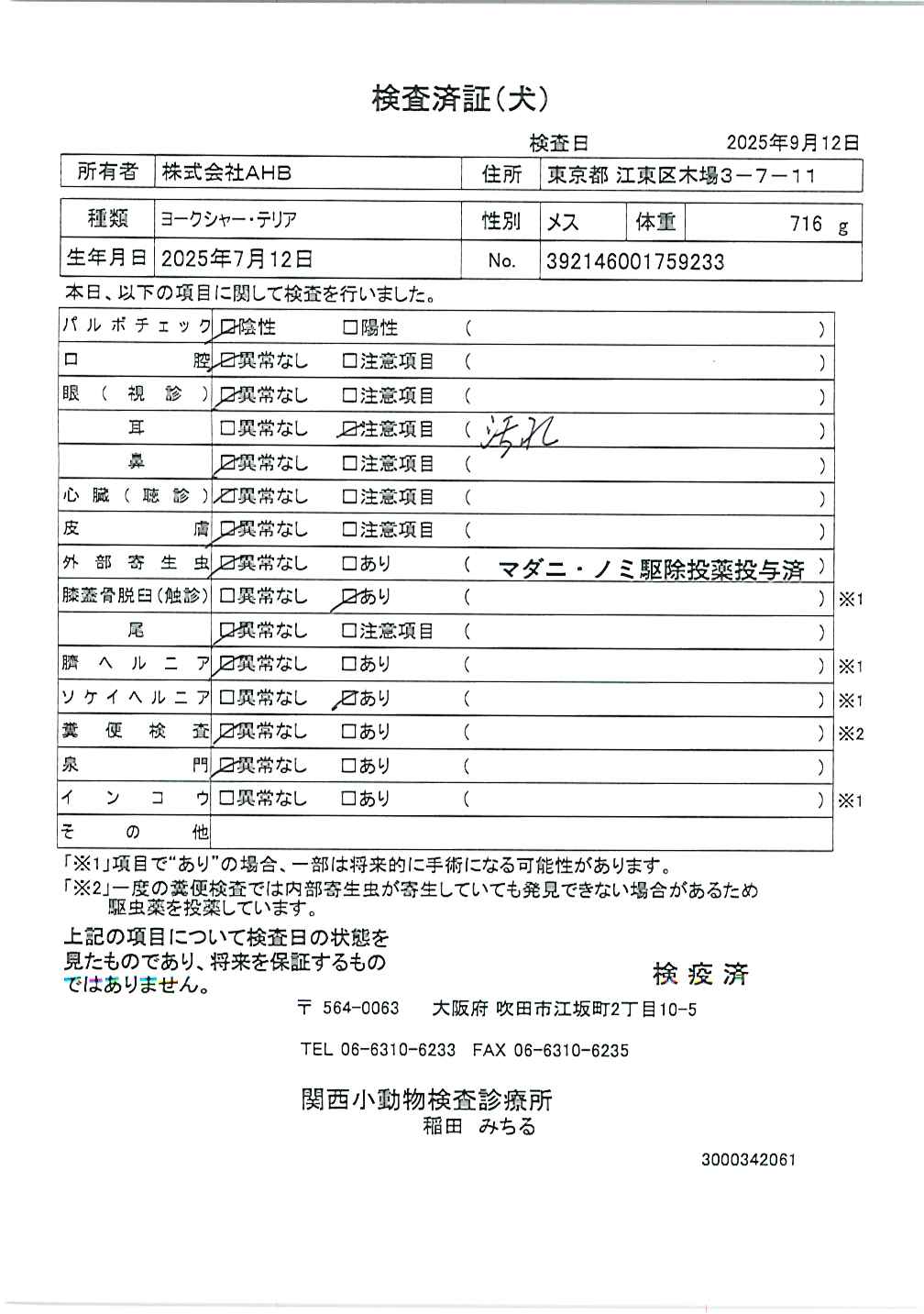ヨークシャー・テリア