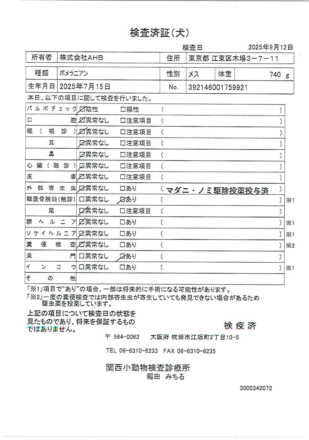 ポメラニアン