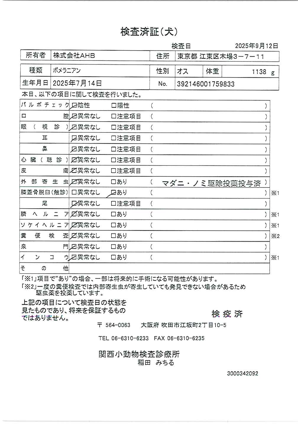 ポメラニアン