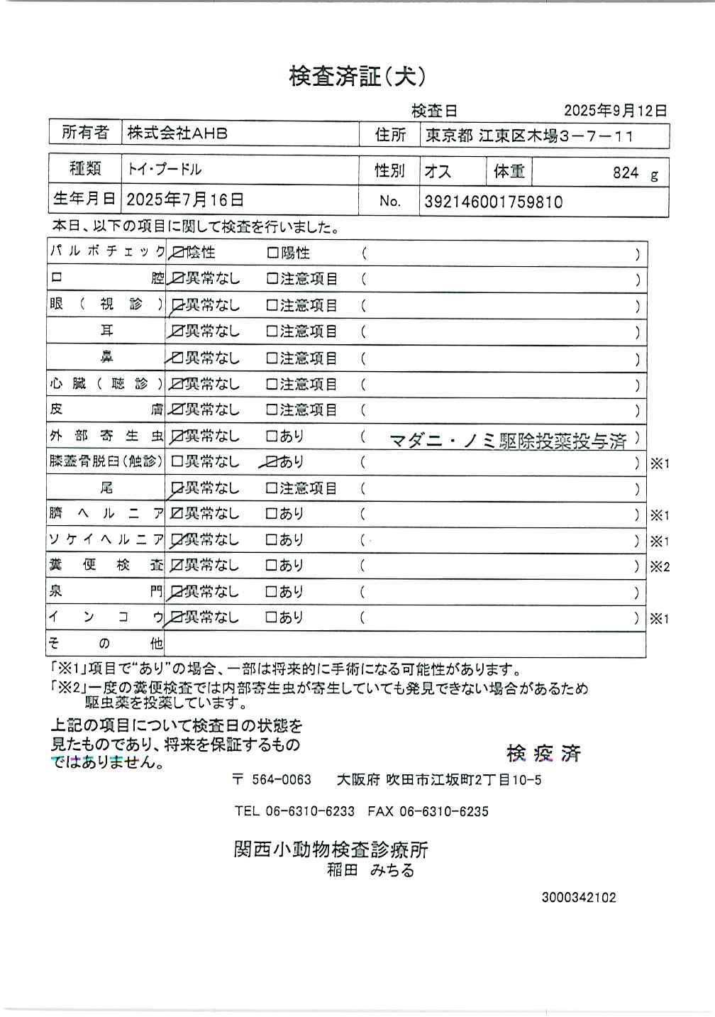 トイ・プードル