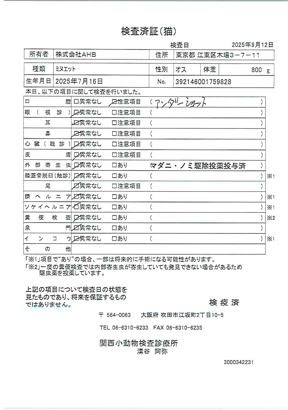 ミヌエット