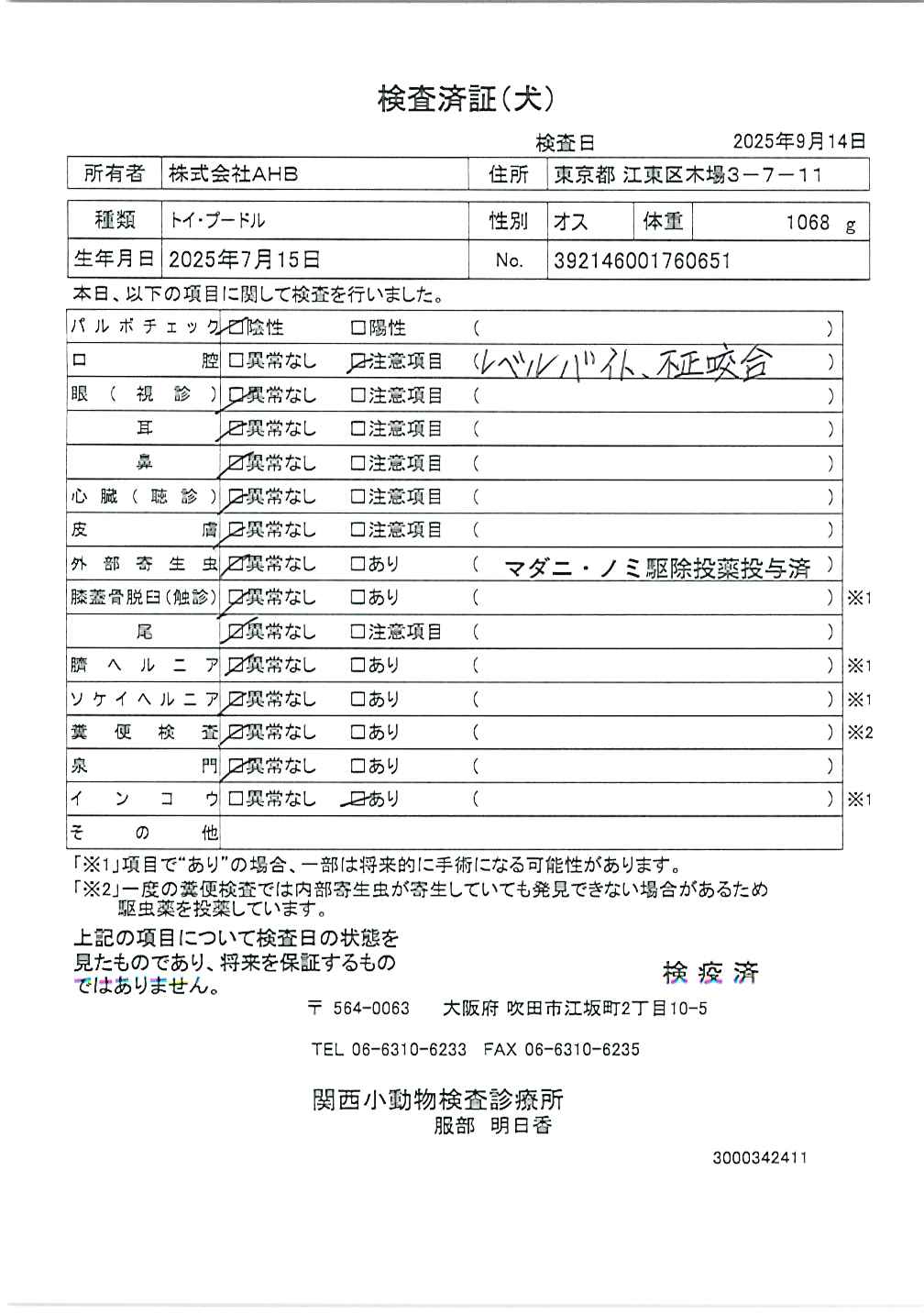 トイ・プードル