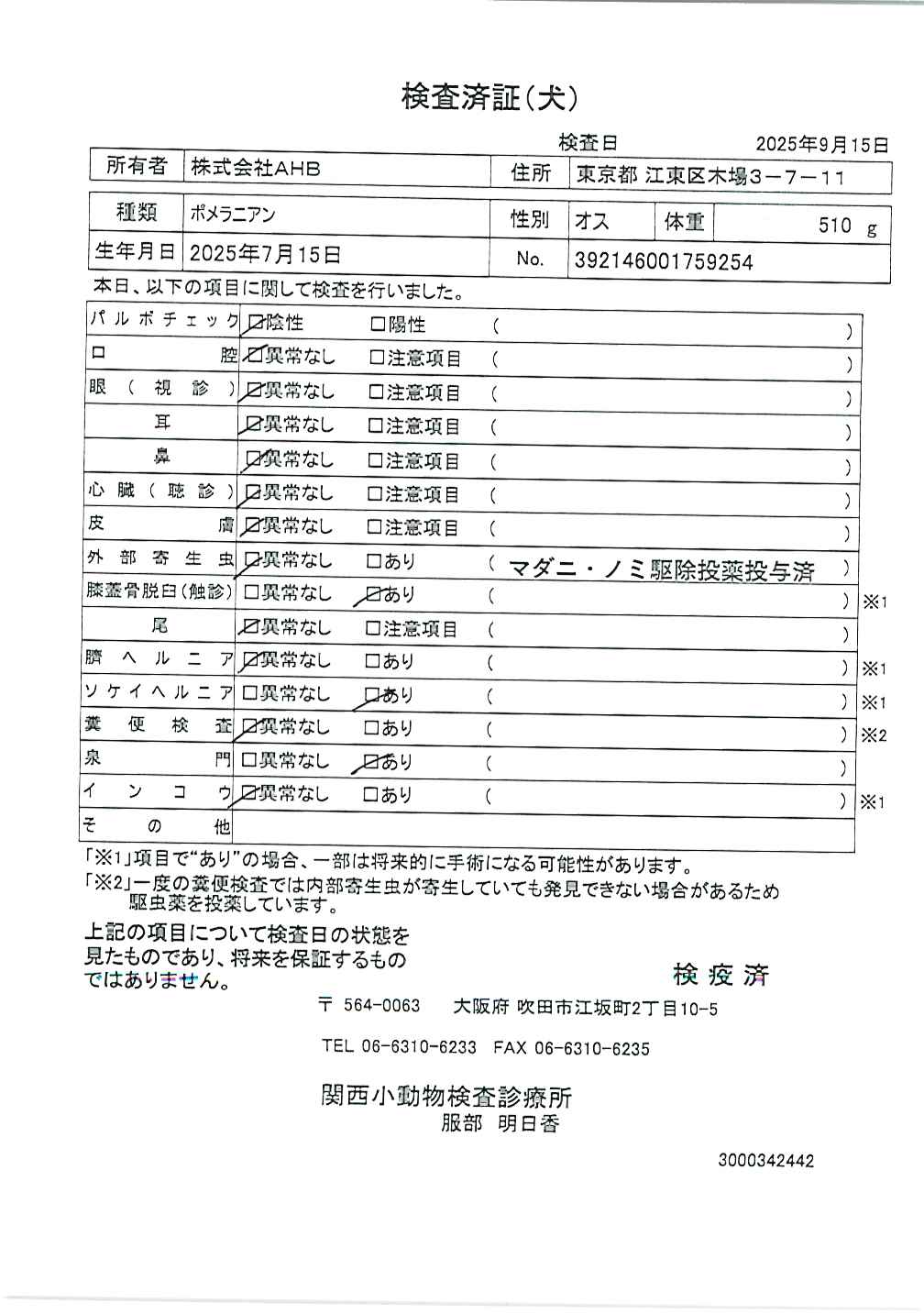 ポメラニアン