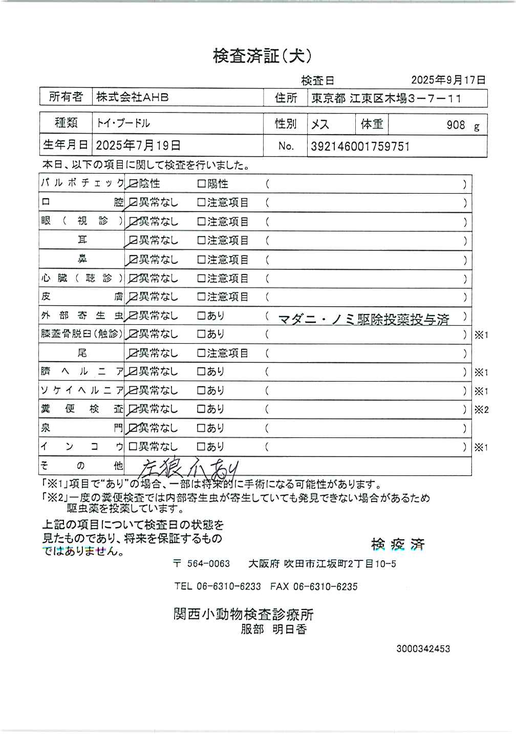 トイ・プードル