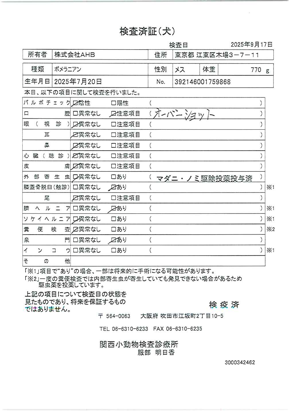 ポメラニアン